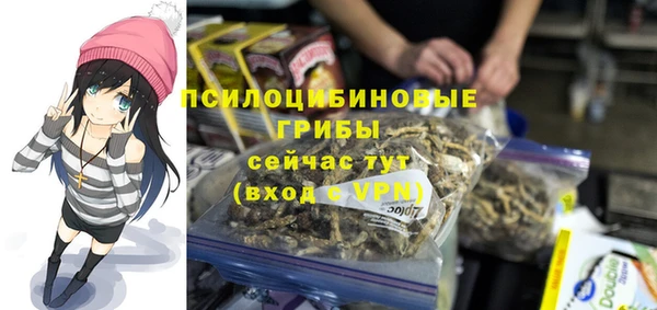 мдпв Армянск